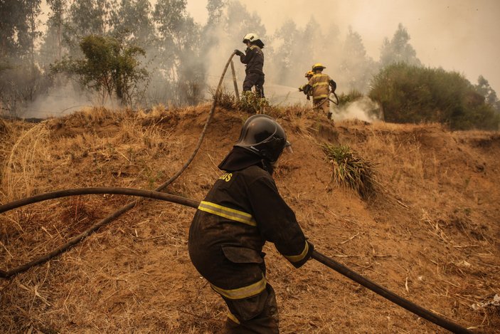 Şili’de orman yangını: 23 ölü, 979 yaralı #2