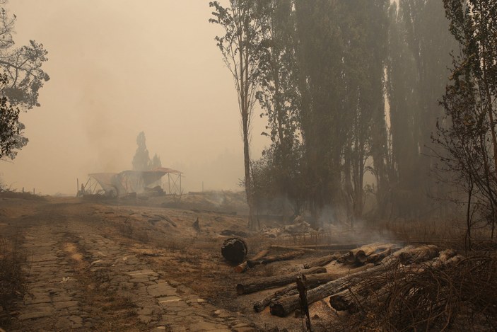 Şili’de orman yangını: 23 ölü, 979 yaralı #3