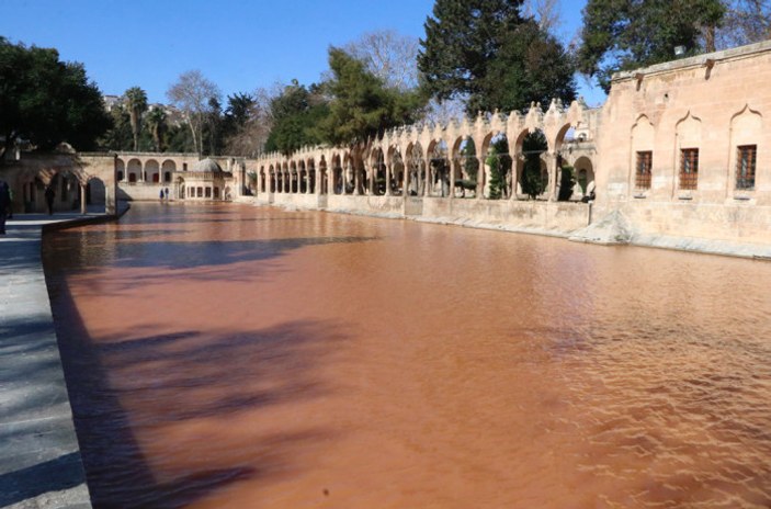 Şanlıurfa'da Balıklıgöl’ün suyu, deprem sonrası çamur rengine döndü