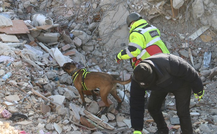 Deprem bölgesinde 5 günde 10 kişiye ulaşan köpekler