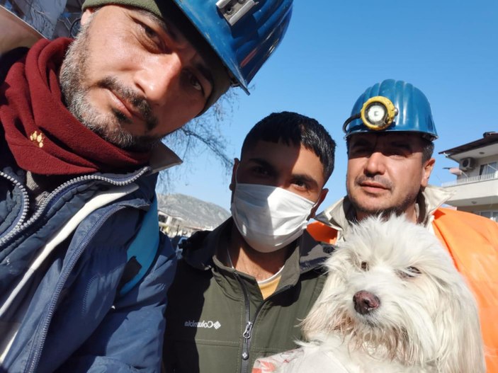 Hatay'da 204 saat sonra enkazdan köpek çıkarıldı