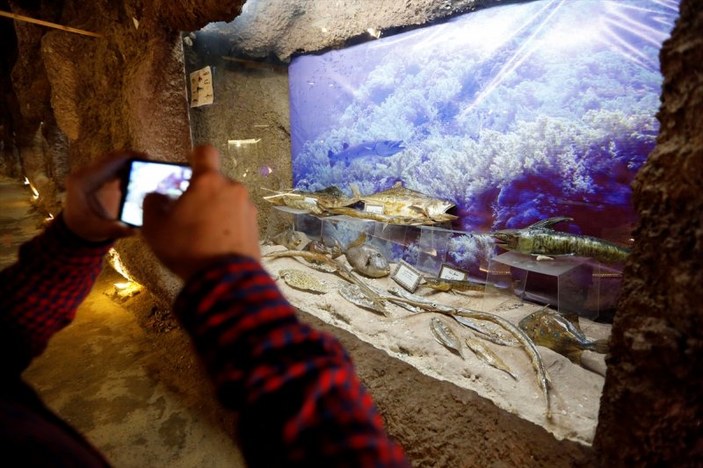 Lübnan'da 35 yıllık emeğin ürünü: Deniz Hayatı Müzesi
