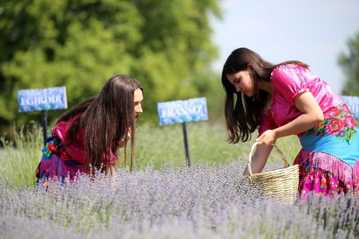 Edirne Lavanta Tarla Günleri'yle hareketlenecek