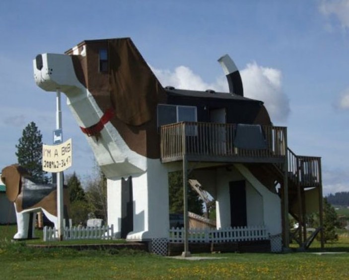 Hayvanseverler için köpek temalı ev 