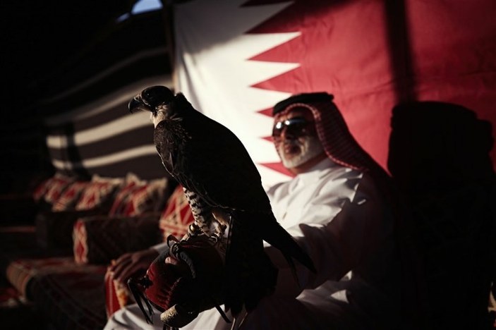 Katar'ın şahinleri UNESCO listesinde