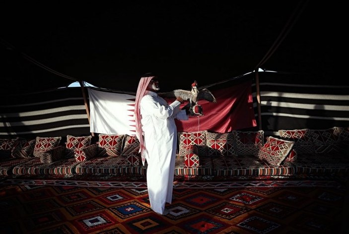 Katar'ın şahinleri UNESCO listesinde