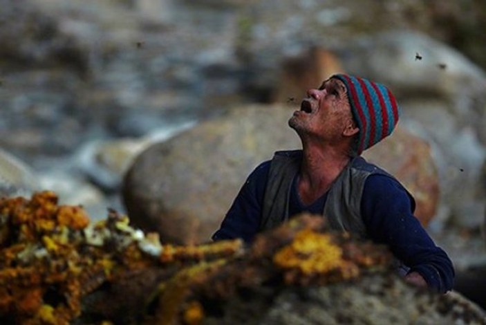 Nepal'deki bal avcıları ölüme meydan okuyor