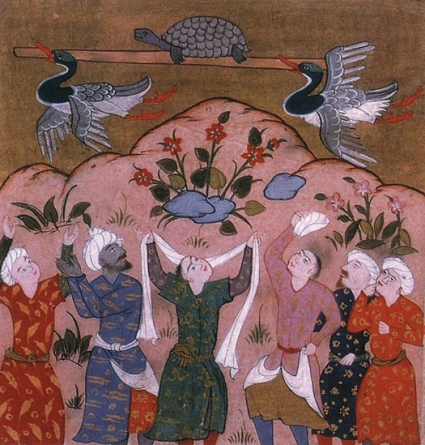 Dünyanın ilk hayvan hastanesini Osmanlı açmıştı