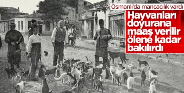 Dünyanın ilk hayvan hastanesini Osmanlı açmıştı