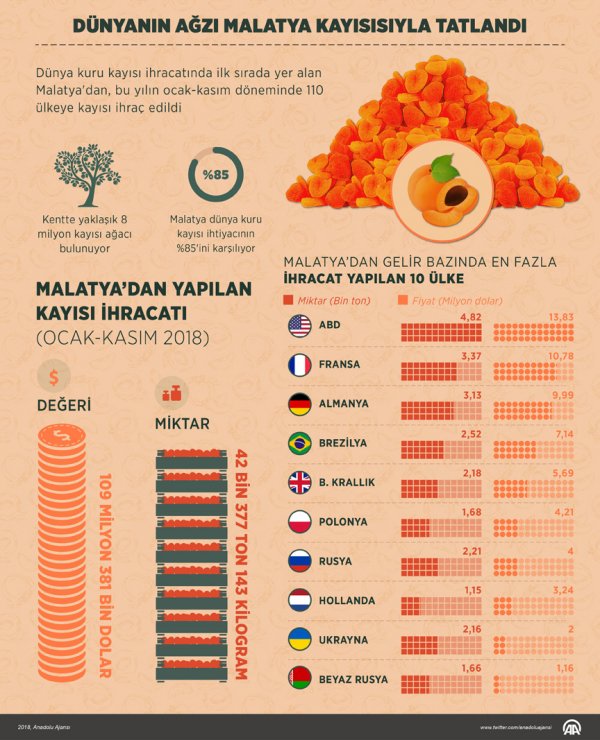 Kayısıyı en çok Amerika alıyor