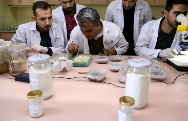 a Böceklere karşı yerli doğal ilaç geliştirildi