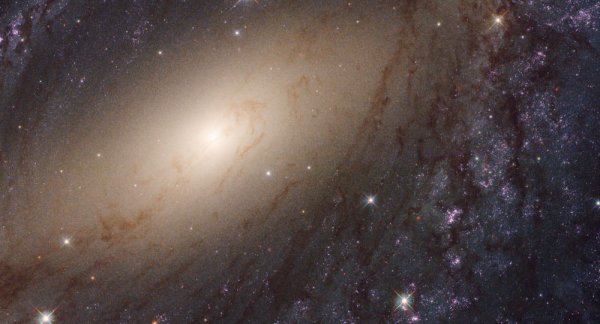 Yeni bir gök cismi bulundu