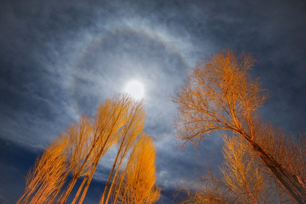 a Van'da ayın etrafında 'hale' oluştu