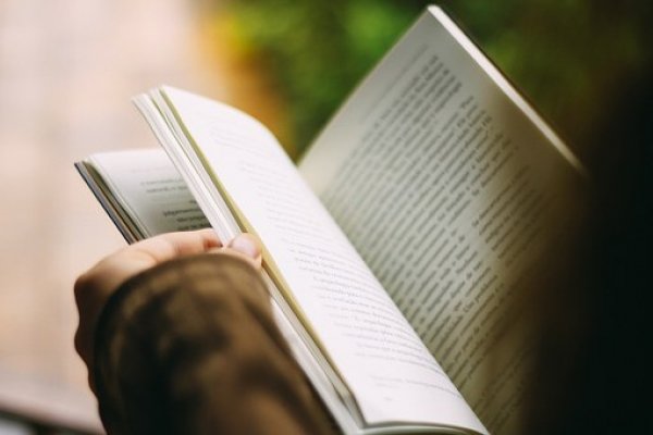 Bibliyofil nedir