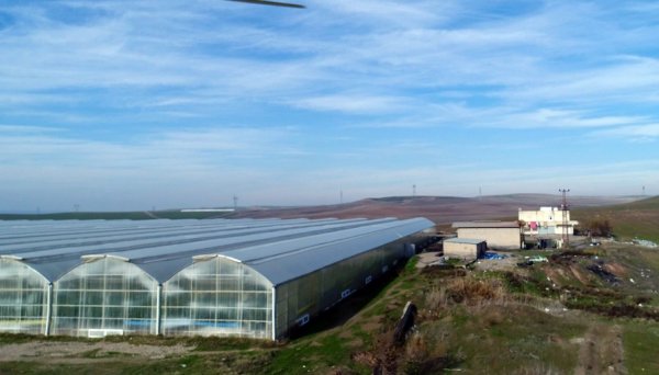 d 25 dönümlük sera alanını ısıtan kaçak elektrik yakalandı