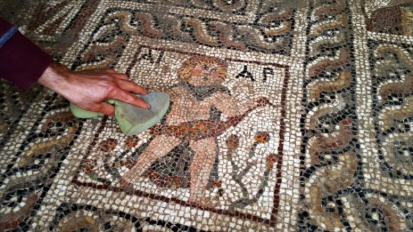 Binlerce yıllık mozaikte turp figürüne rastlandı