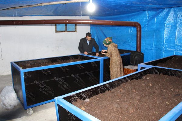 3 milyon solucanla gübre üreten çiftçi kadın