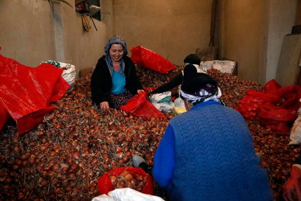 a Moda tasarımcılığını bırakıp çiftçi oldu