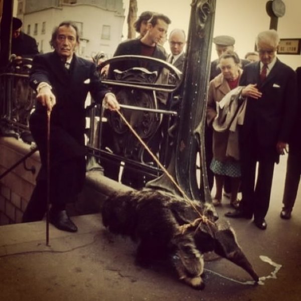 Salvador Dali ölümünün 30. yılında anılıyor - Salvador Dali kimdir 