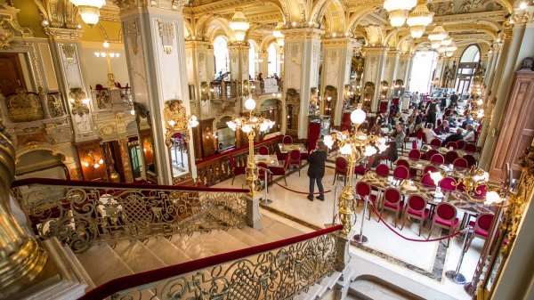 Budapeşte'de dünyanın en güzel kafesiyle tanıştık