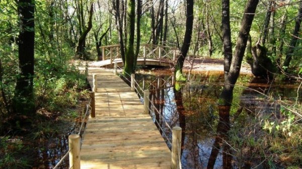 Milli Parklar ziyaretçi rekoru kırdı