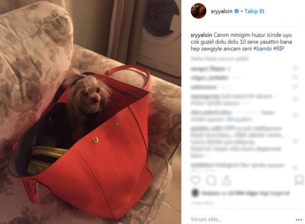 Süreyya Yalçın'ın acı günü