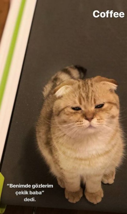 Kubilay Aka'yı kızdırdılar