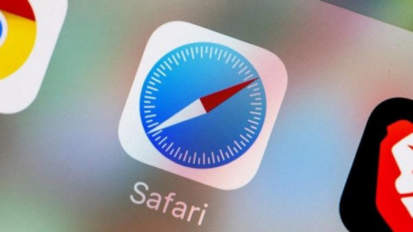 safari