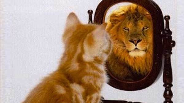 Dunning-Kruger Sendromu nedir