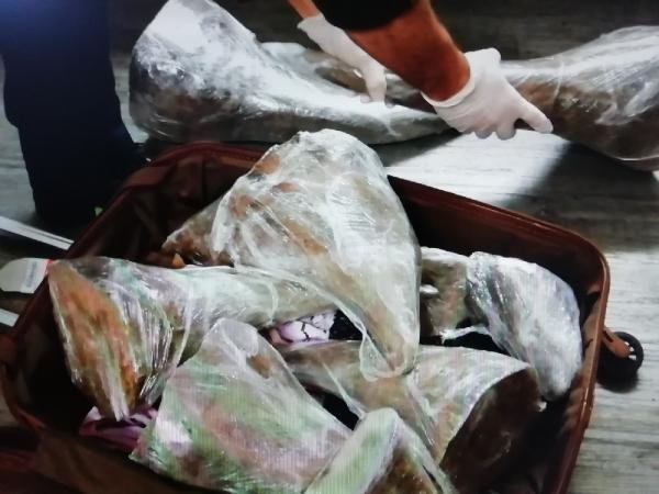 d Atatürk Havalimanı'nda gergedan boynuzu operasyonu