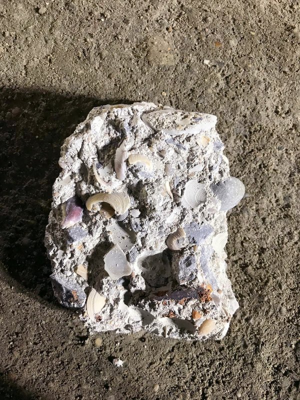 a Kartal'da çöken binada kullanılan deniz kabukları