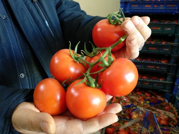 i Tanzim fiyatları Türkiye geneline yayılıyor