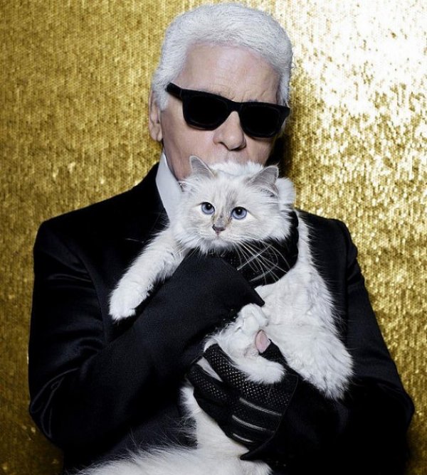 Moda ikonu tüm mirasını kedisine bıraktı