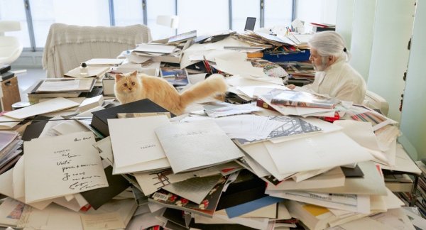 Moda ikonu tüm mirasını kedisine bıraktı