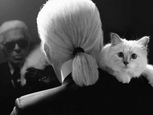 Karl Lagerfeld kimdir