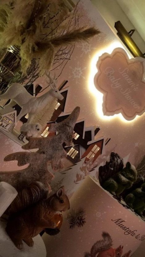 Sinem Öztürk ikizleri için parti verdi