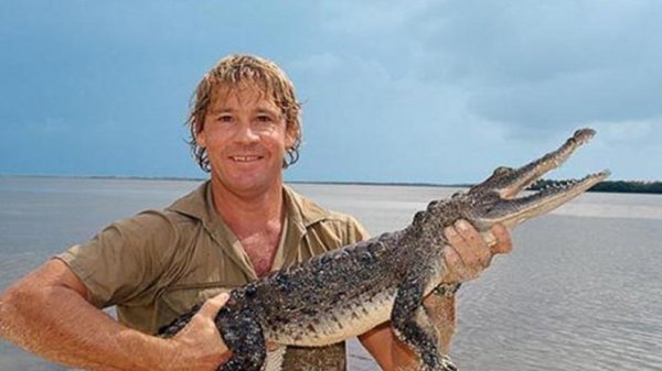 Steve Irwin, 57. yaşını google unutmadı. Steve Irwin kimdir? Steve Irwin, 57. yaşını google unutmadı. Steve Irwin kimdir?