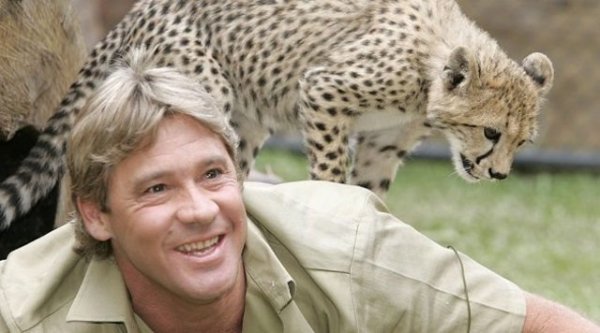 Steve Irwin, 57. yaşını google unutmadı. Steve Irwin kimdir? Steve Irwin, 57. yaşını google unutmadı. Steve Irwin kimdir?