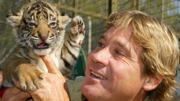 Steve Irwin, 57. yaşını google unutmadı. Steve Irwin kimdir? Steve Irwin, 57. yaşını google unutmadı. Steve Irwin kimdir?