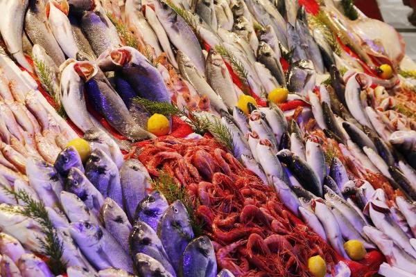 d Balıkçılar şikayetçi: Biz de tanzim satış istiyoruz