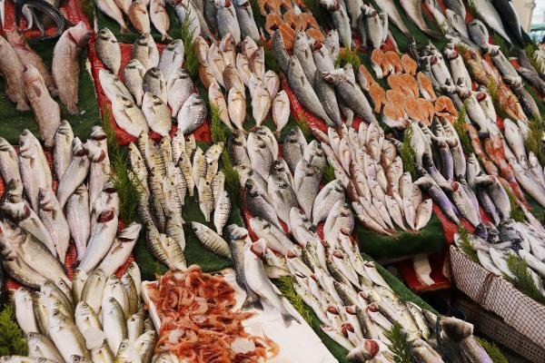 d Balıkçılar şikayetçi: Biz de tanzim satış istiyoruz