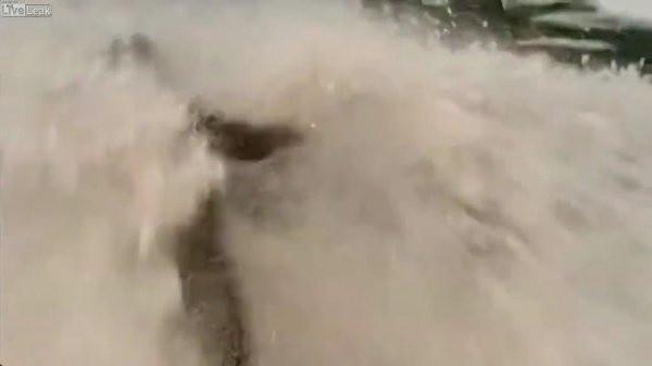 Kar küreme aracının kurbanı olan muhabir