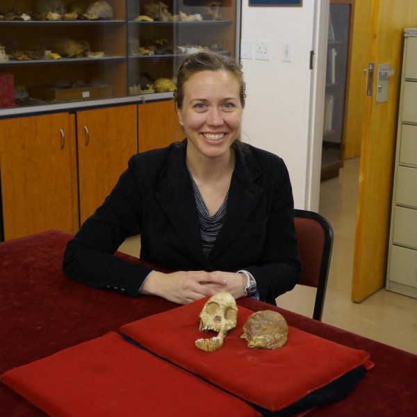 Kitapları okuduktan sonra nerede saklıyorsunuz