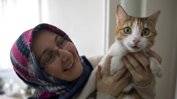 a Doğumunu yaptırdığı kediyi ve yavrularını sahiplendi
