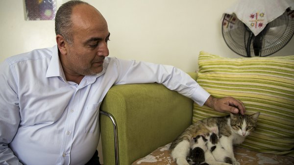 a Doğumunu yaptırdığı kediyi ve yavrularını sahiplendi