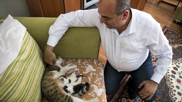 a Doğumunu yaptırdığı kediyi ve yavrularını sahiplendi