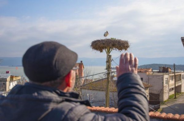 Leylek Yaren bu yıl beklenenden erken geldi
