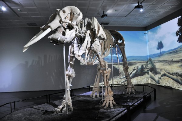 i Maraş Aslanı Kahramanmaraş'ın önemli sembolü