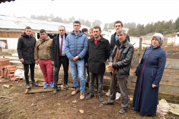 Bilecik'te koyunları sertifikalı çobanlar güdecek