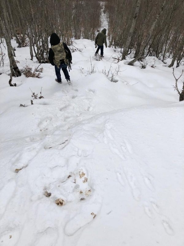 Jandarma dağlarda terörist izi aradı